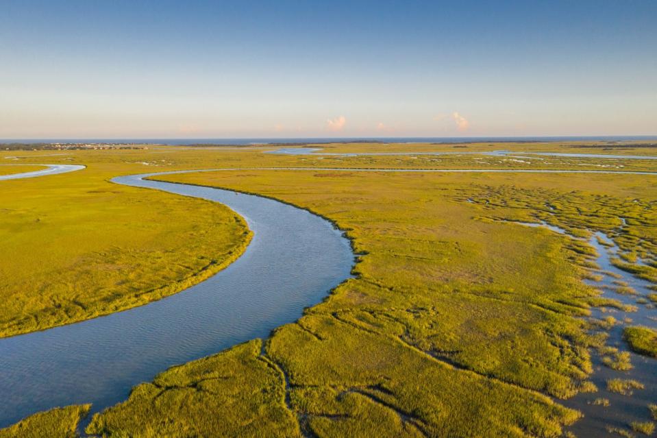 Georgia marshlands