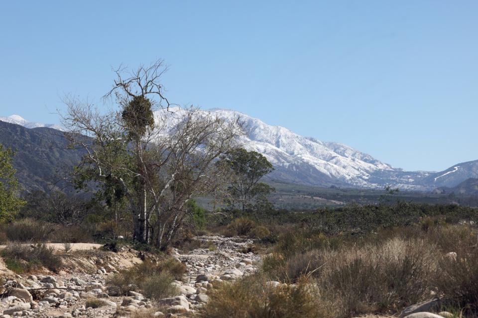 A rocky creek bed with snowcapped mountains in the distance