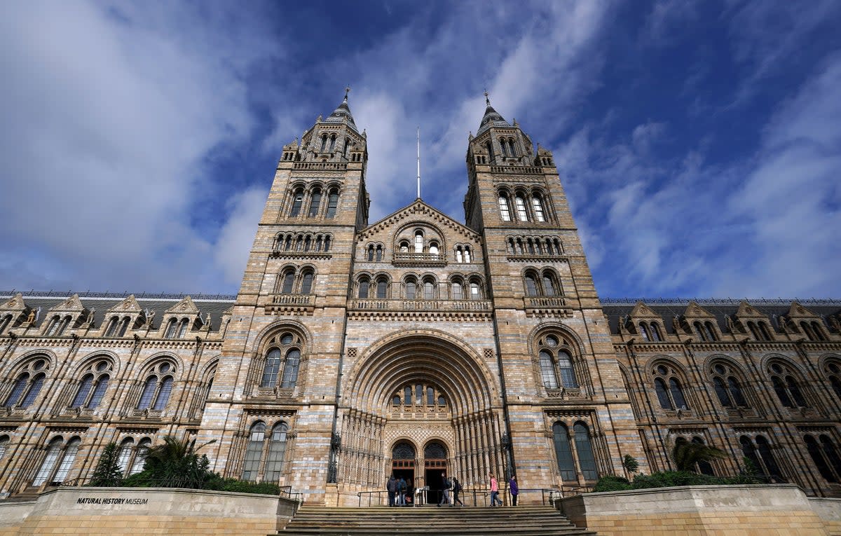 Not just dino bones: the Natural History Museum is surrounded by good restaurants  (PA)