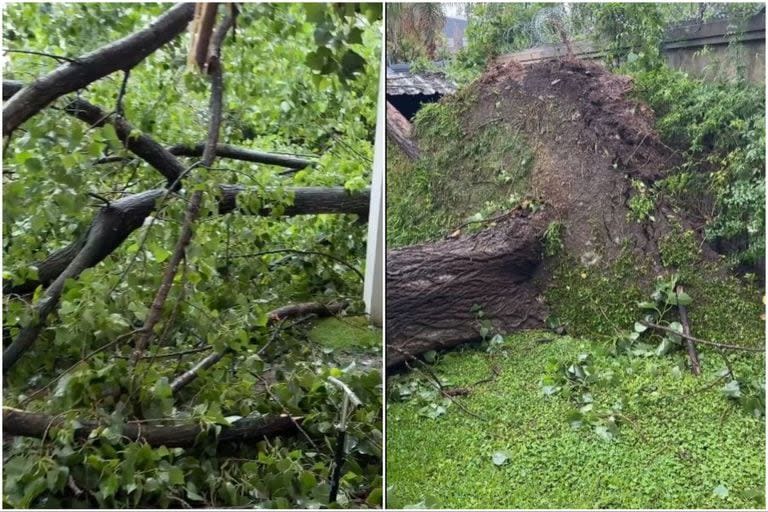 Marley mostró los destrozos que provocó la lluvia en el frente de su casa