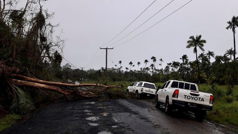 A fallen tree due to Cyclone Yasa lies on Transinsular Road in Fiji