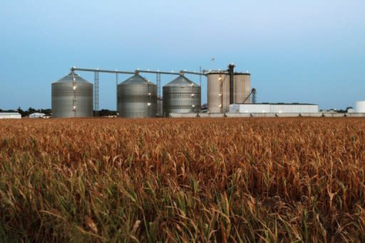 A field of dead corn sits next to an ethanol plant July 25, in Palestine, Illinois. The drought in America's breadbasket is intensifying at an unprecedented rate, experts warned, driving concern food prices could soar if crops in the world's key producer are decimated