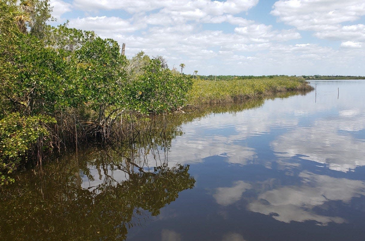 Manatee County purchased the 64-acre Crooked River Ranch on the Manatee River on Feb. 12, 2024, for $11.2 million and will conserve it.