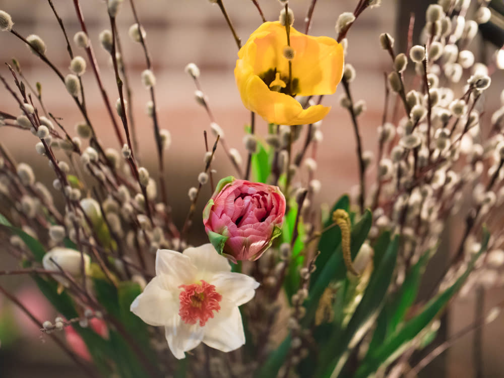 Palmkätzchen und bunte Tulpen dürfen im Osterstrauß nicht fehlen. (Symbolbild) (Bild: Naletova Elena/Shutterstock)