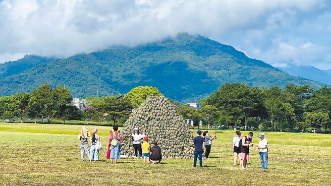 台東縣鹿野鄉龍田社區昨天邀遊客堆疊出1座鳳梨富士山，民眾在小山前打卡，就可領取1顆鳳梨。（蔡旻妤攝）