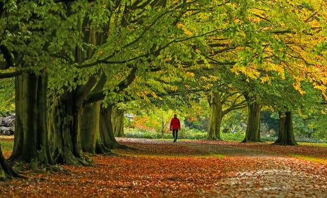 Autumn weather Oct 6th 2020