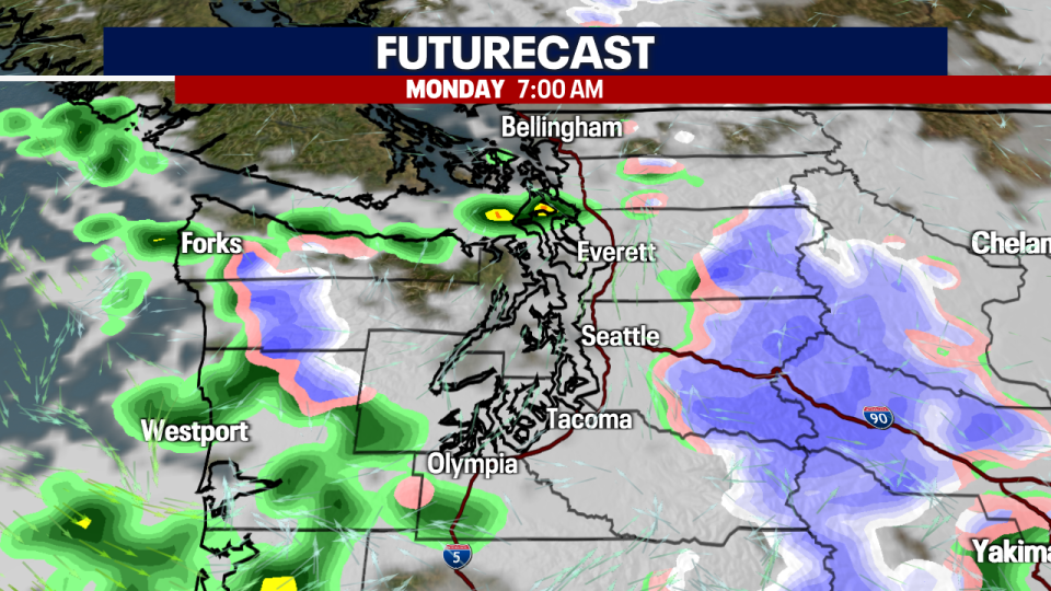 <div>FUTURECAST NEXT 48 HOURS</div> <strong>(FOX 13 Seattle)</strong>
