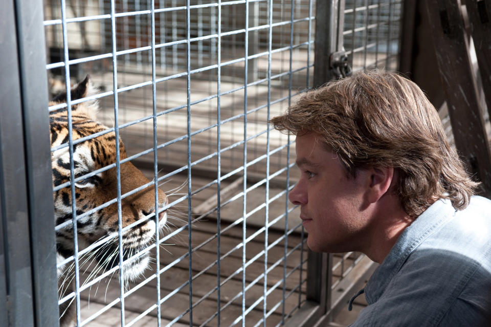 Matt Damon staring down a tiger