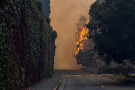 A building burns on the campus of the University of Cape, South Africa, Sunday, April 18, 2021. A wildfire raging on the slopes of the mountain forced the evacuation of students from the University. (AP Photo)