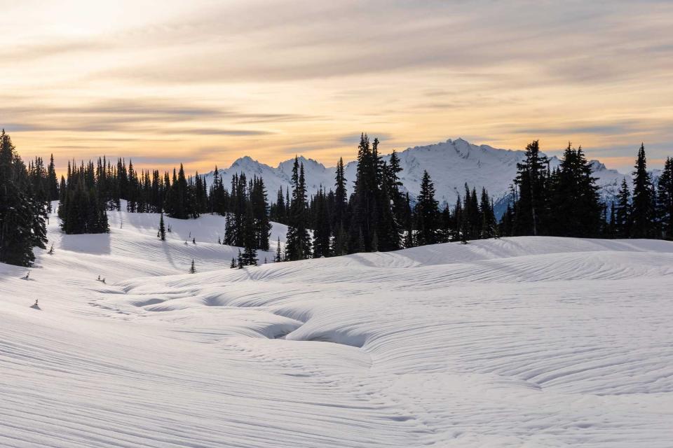 Snowy landscape with mountain peaks in the background during sunset, Garibaldi Provincial Park, Whistler, British Columbia, Canada
