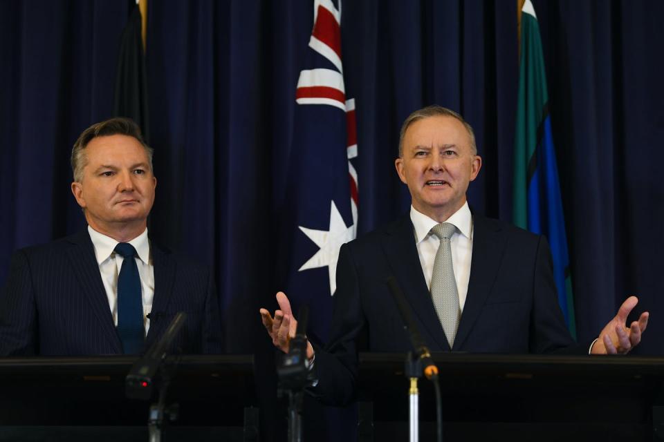 Labor climate spokesman Chris Bowen and Labor leader Anthony Albanese.