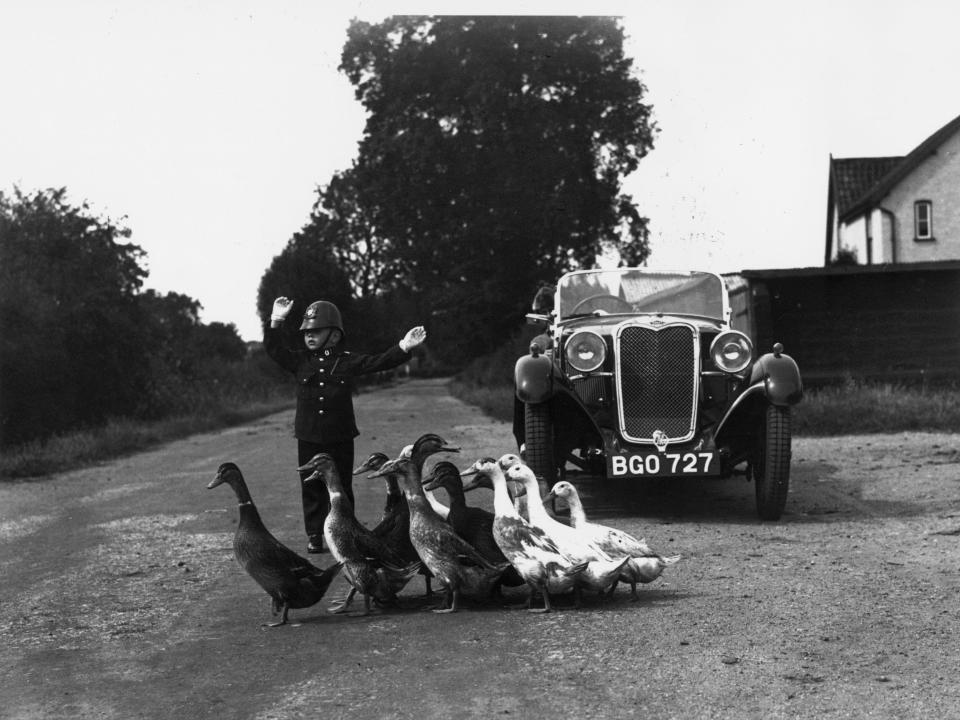 Cop with ducks