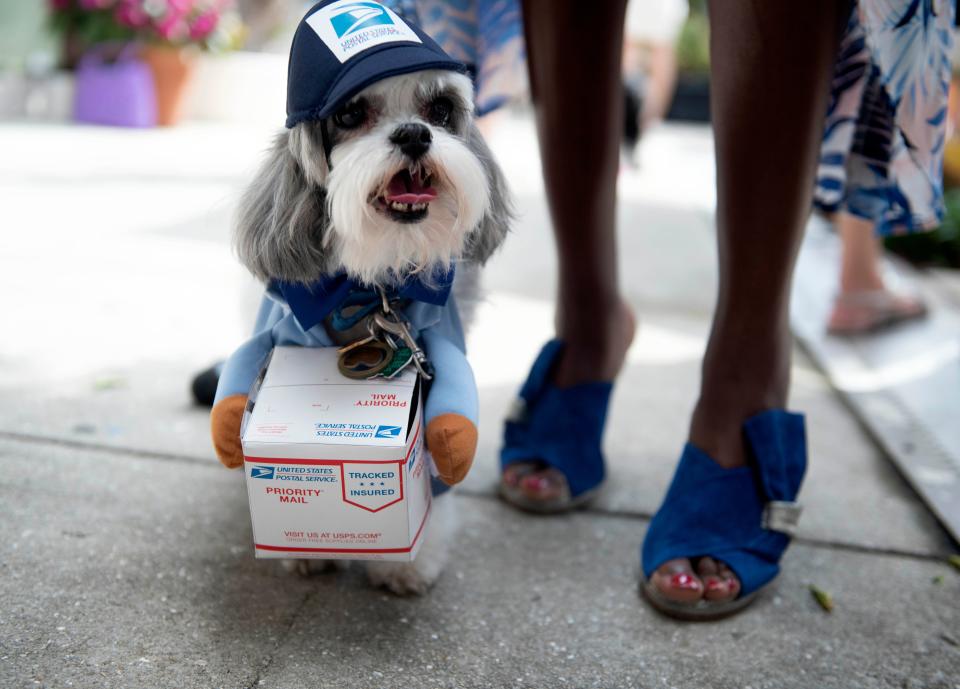 Gemma Maxime of Royal Palm Beach dressed her dog, Max, as a postal worker during the 30th annual Worth Avenue Pet Parade and Costume Contest in Via Amore in Palm Beach March 11, 2023. Florida made the USPS list for Top 10 states for dog bites in 2022 with 200, 19 more than in 2021.