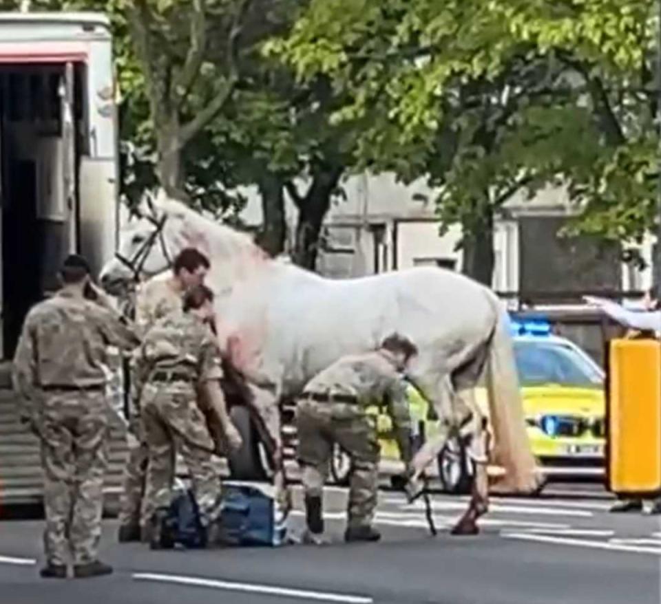 Horse appears to have injured its leg (Tom Cahill)