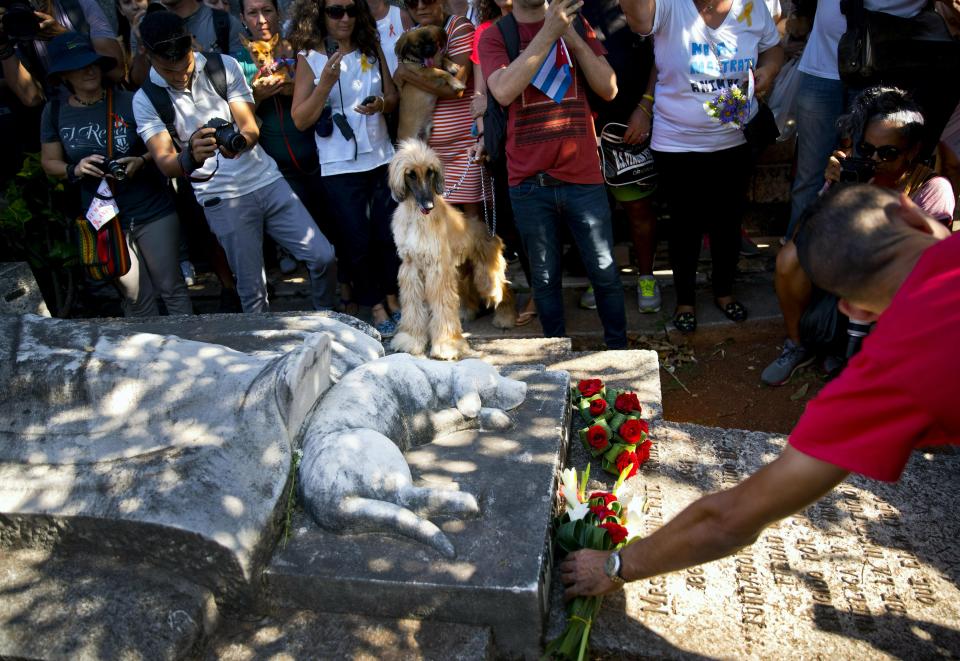 Animal lovers leave flowers at the grave of Jeannette Ryder, an American who fought for animal rights in Cuba at the start of the 20th century, where a statue of her dog Rinti decorates her tomb at Colon cemetery during a march for an end to animal cruelty, the first march of its kind, in Havana, Cuba, Sunday, April 7, 2019. Legend has it Ryder's dog died while sitting on her owner's grave. (AP Photo/Ramon Espinosa)