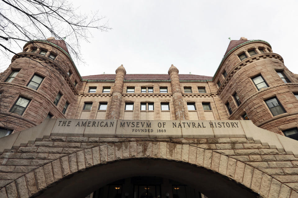 FILE - The south entrance to the American Museum of Natural History is seen, Jan. 11, 2017, in New York. Lorenzo Prendini, a curator at the American Museum of Natural History, was detained in Istanbul on Monday, May 13, 2024, while allegedly attempting to smuggle spider and scorpion samples, Turkish media reported. The curator said he had permits from the government to conduct his research. (AP Photo/Richard Drew, File)