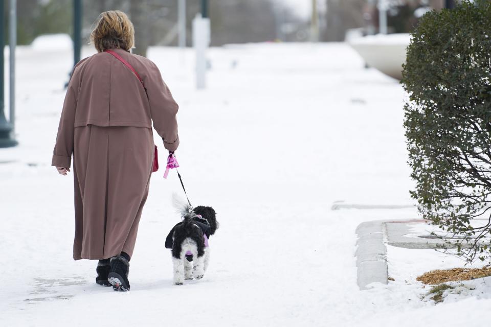 See Photos from the Record-Setting Winter Storm Uri: Its Impact on Texas and Beyond