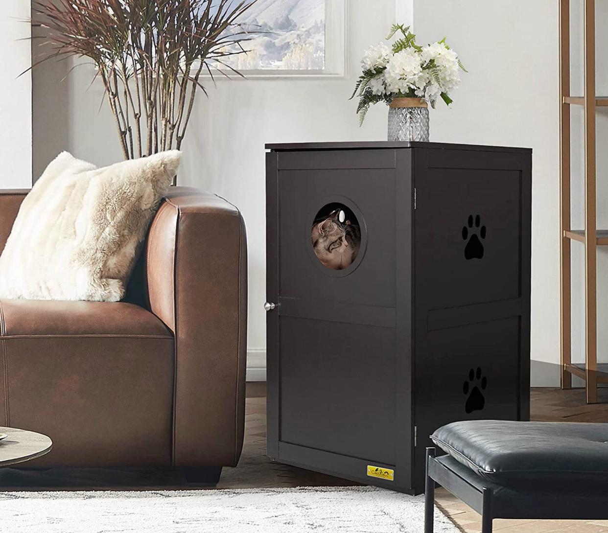 enclosed hidden cabinet furniture in living room setting used as a dog-proof cat feeding station