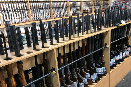 FILE PHOTO: Firearms are displayed at Gun City gunshop in Christchurch, New Zealand, March 19, 2019. REUTERS/Jorge Silva/File Photo