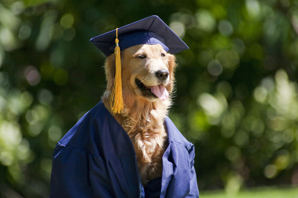 Foto: Ron Dahlquist/Getty Images