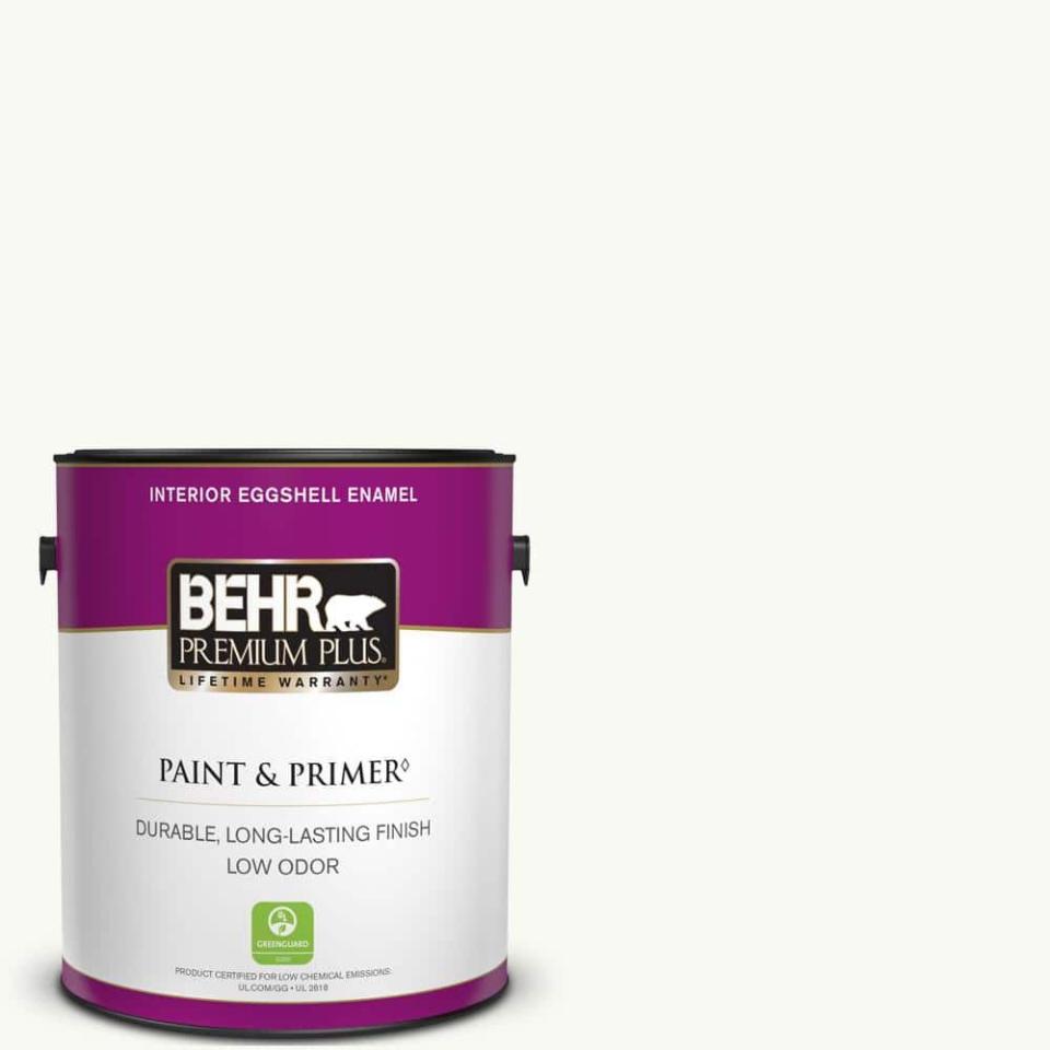 6) Premium Plus Paint & Primer