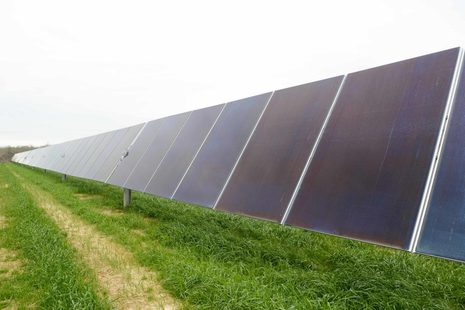 Solar panels photographed during the Flip the Switch unveiling in Bolivar, Tenn. on Tuesday, Mar. 21, 2023. A collaboration between the Bolivar Energy Authority, Silicon Ranch, and TVA, the new 3.45-megawatt solar project will provide Hardeman County new energy sources. 