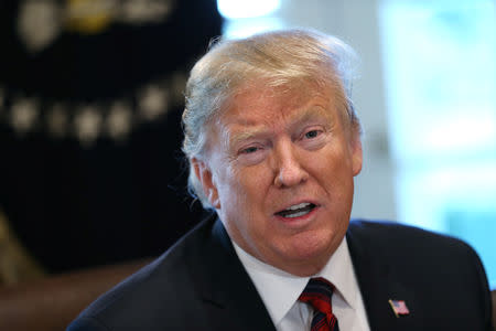 FILE PHOTO: U.S. President Donald Trump speaks during a "roundtable discussion on border security and safe communities" with state, local, and community leaders in the Cabinet Room of the White House in Washington, U.S., January 11, 2019. REUTERS/Leah Millis