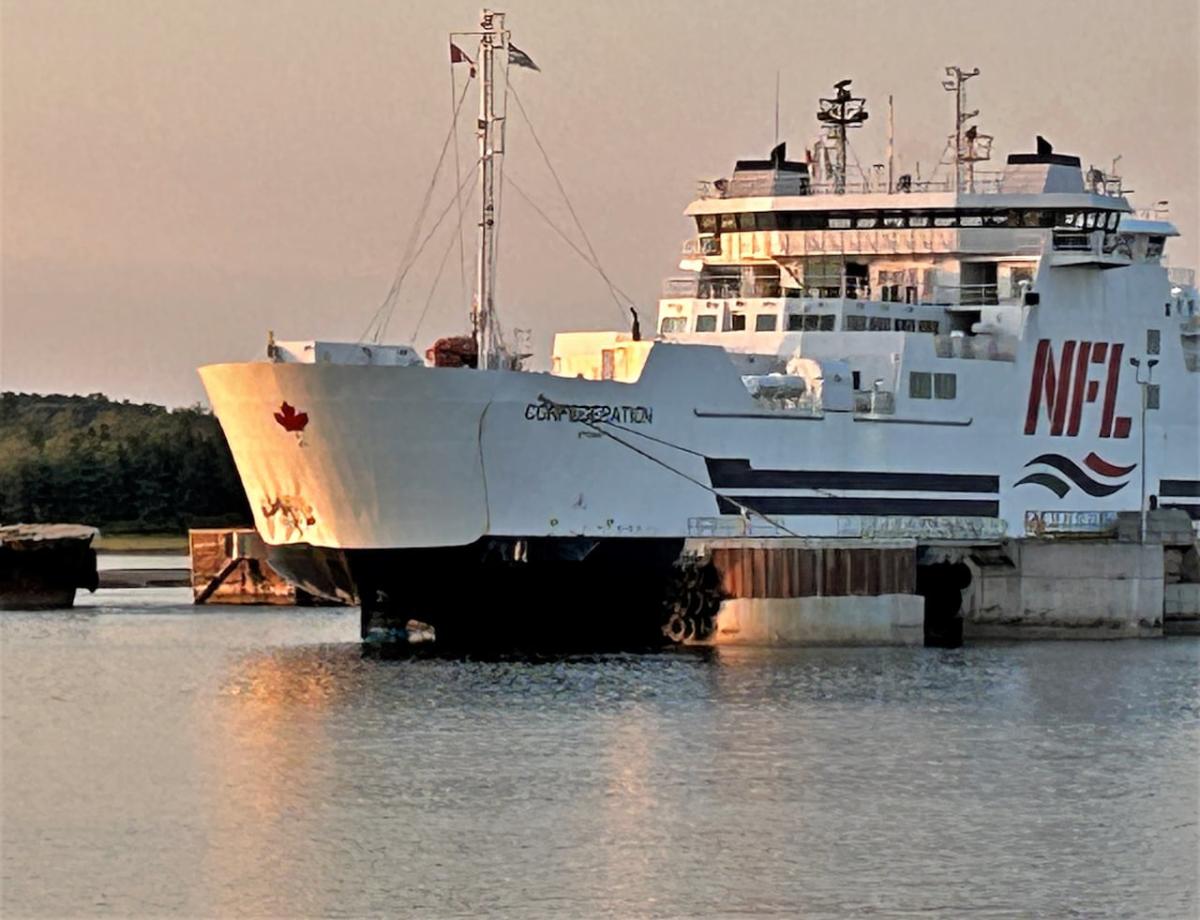 ‘What’s going on on these ships?’ Marine engineer questions Canada’s ferry safety