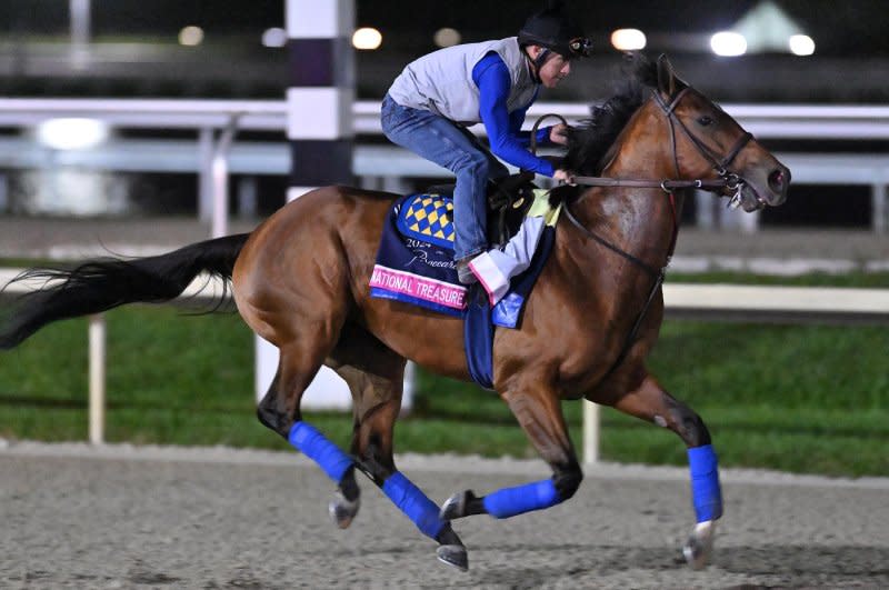 National Treasure, shown training Thursday at Gulfstream Park, is the morning-line favorite for Saturday's $3 million Pegasus World Cup at Gulfstream Park. Photo by Lauren King/courtesy of Gulfstream Park
