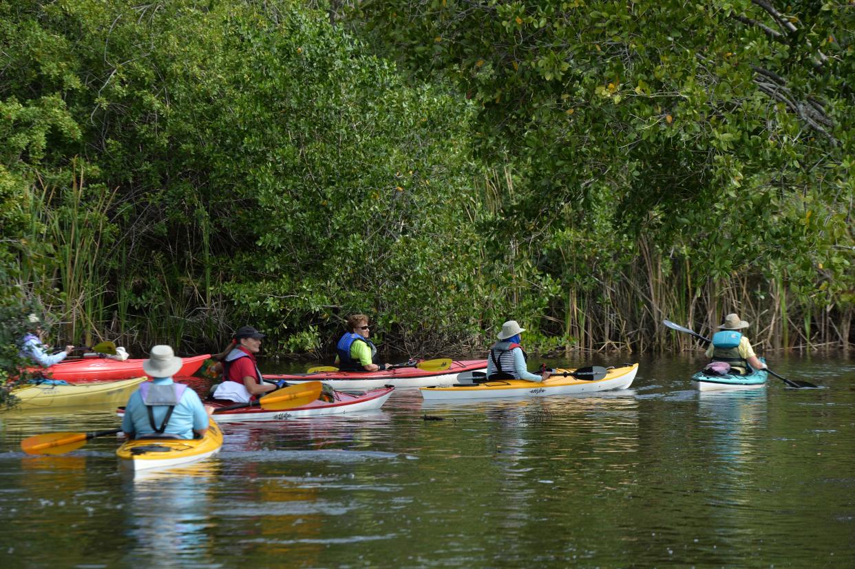 Senator Bob Johnson's Landing park in South Venice is on U.S. 41, just south of River Road, at the Myakka River. The park includes a kayak launch, trails and picnic tables and was purchased with funds from the Neighborhood Parkland Acquisition Program.