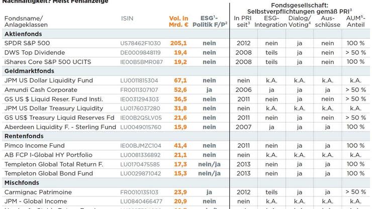 Flaggschifffonds ignorieren Risiken zu Umwelt, Sozialem und Governance. Zwischen Fondsprospekten und Selbstverpflichtungen der Anbieter klaffen Lücken. Mehr Transparenz für Anleger muss her.