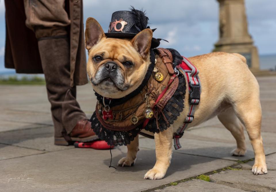 The Northern Echo: Whitby Goth Weekend 2024 Day 2 (pictures Simon McCabe)