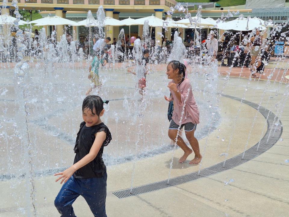 花蓮海洋公園重啟日，招待員工及家屬免費入園。（圖：遠雄海洋公園提供）