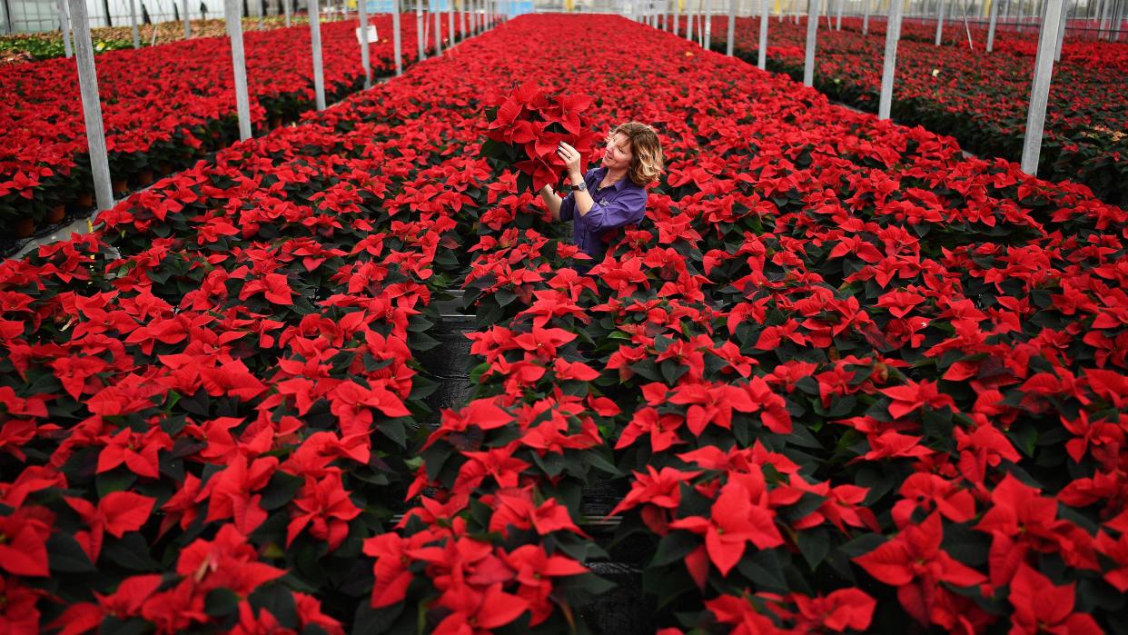 (Photo: Jeff J Mitchell via Getty Images)