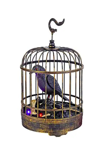 Animated Talking Raven in Cage