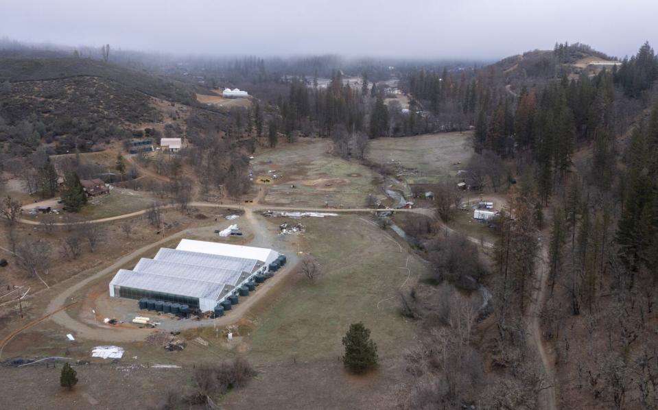 Greenhouses on a ranch in Trinity County.