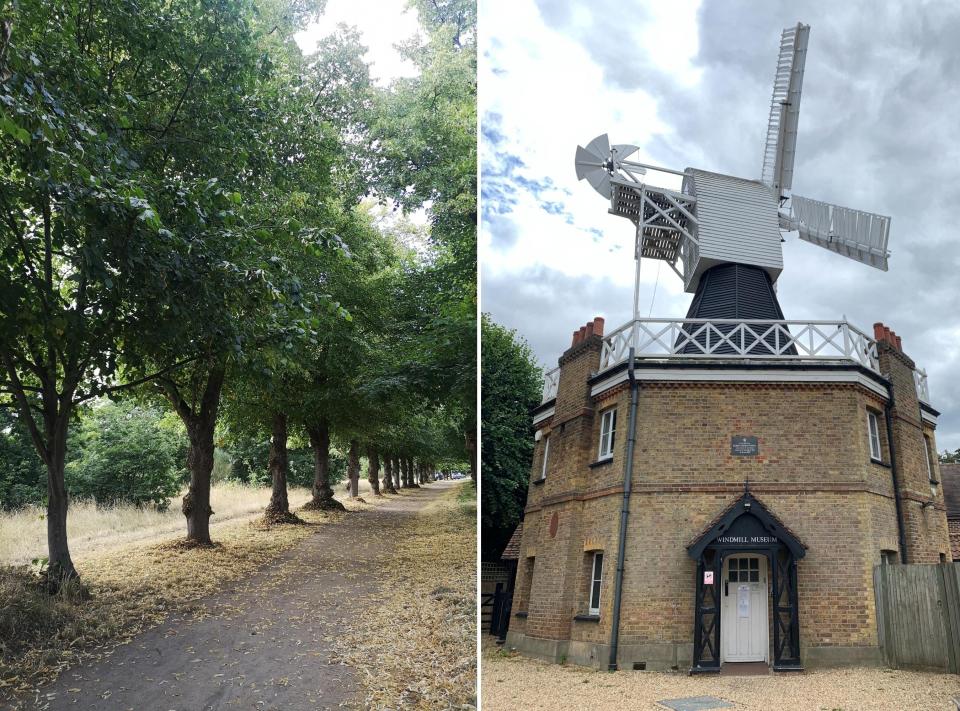 Wimbledon and Putney Common, and Wimbledon Windmill located on the common.