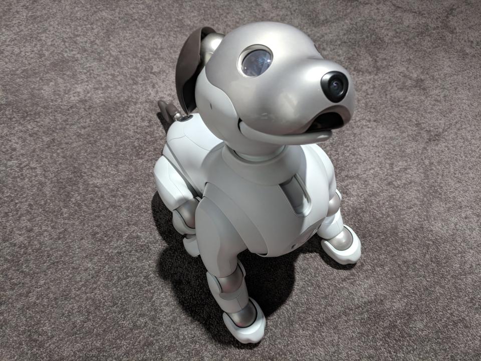 Aibo could be your next pet. If you’ve got the cash.