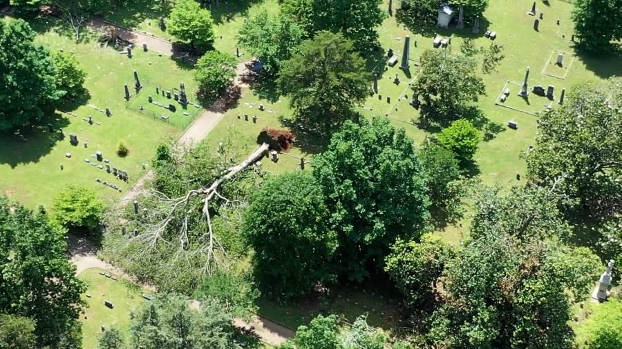 Storm Damage in the Maple Hill Cemetery