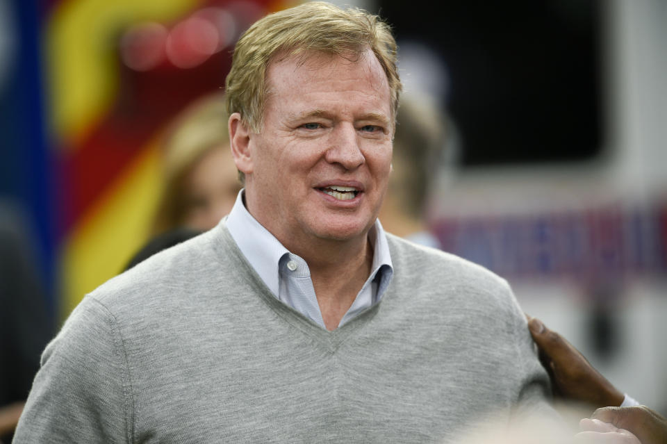 NFL commissioner Roger Goodell said he is concerned about the league's catch rule. (AP)