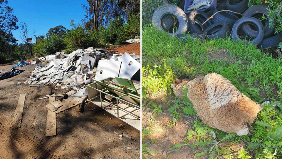 A dead sheep found in Sydney Western Parklands and piles of rubbish dumped.