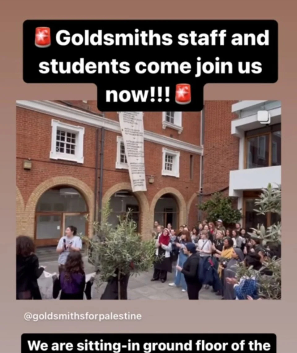 Students hold a pro-Palestine rally at Goldsmiths (@goldsmithsforpalestine)