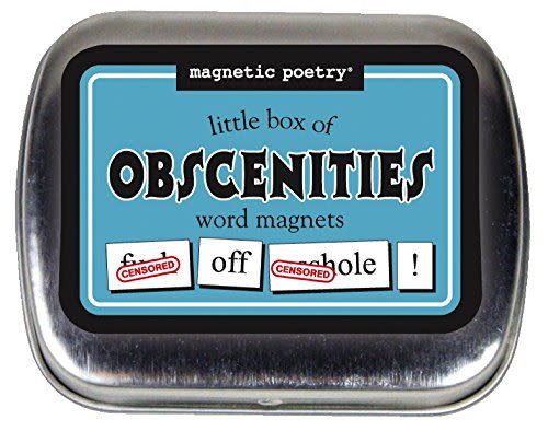 21) Magnetic Poetry Little Box of Obscenities Refrigerator Magnets