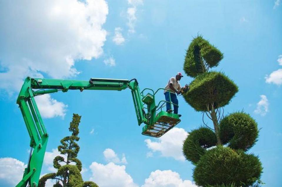 Self-taught topiary artist Pearl Fryar works in his garden in Bishopville, S.C.