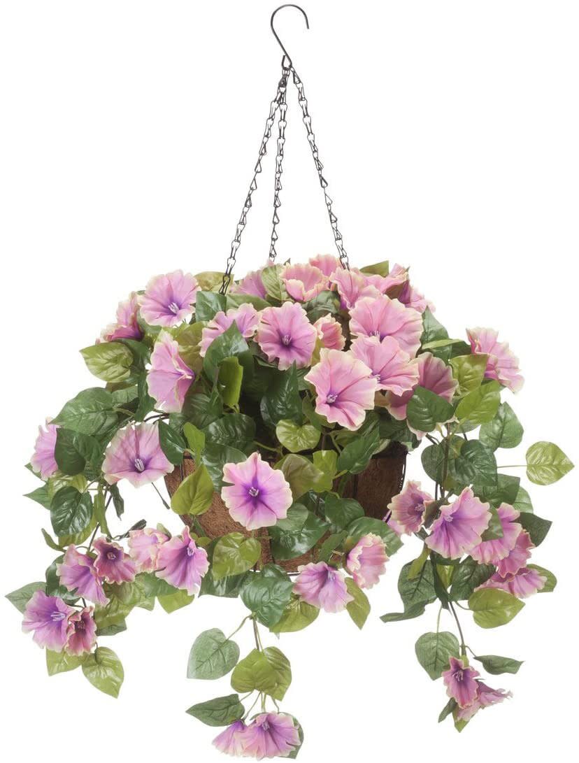 OakRidge Petunia Hanging Basket