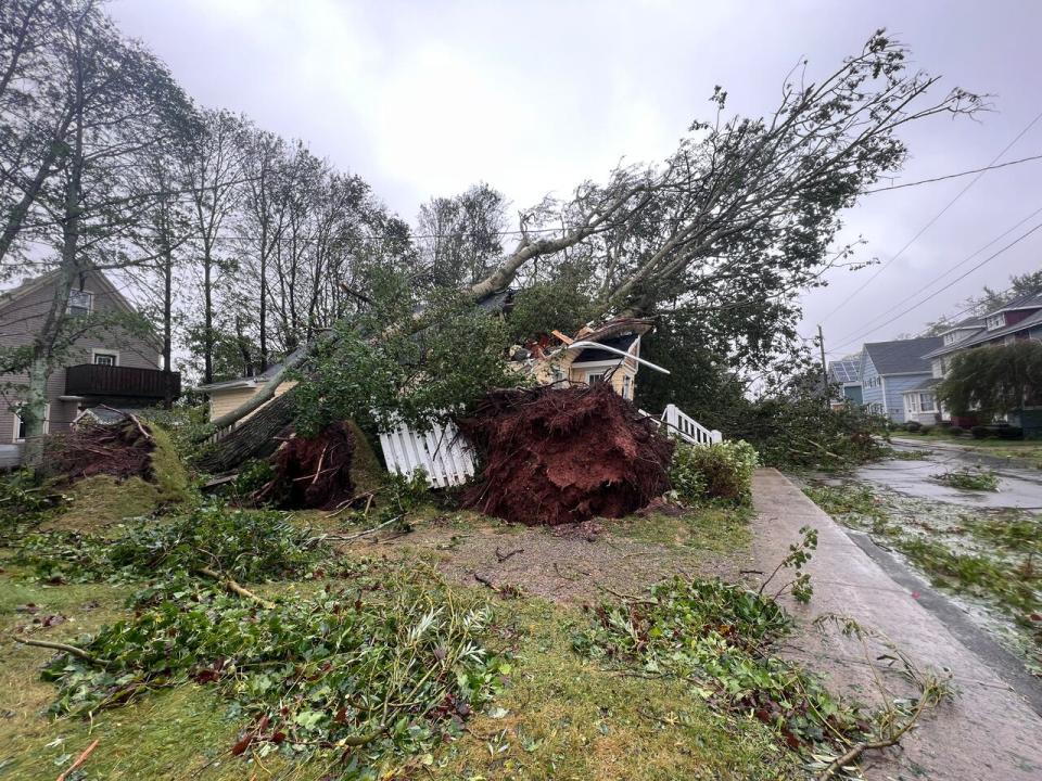 Fiona left behind downed trees and damaged homes in Charlottetown on Sept. 24, 2022.