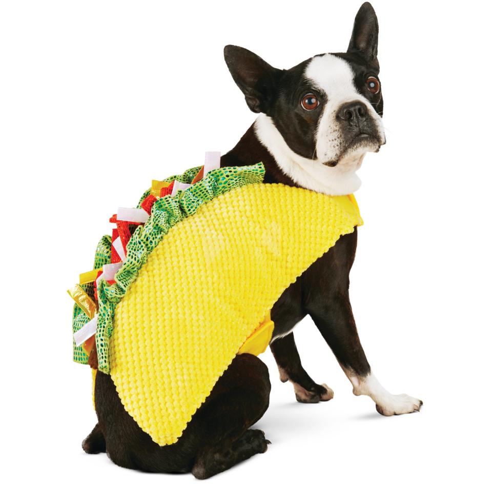Taco 'Bout It Dog Costume