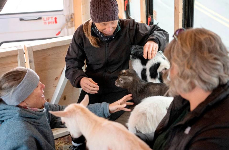 Visitors laugh and pet goats as they visit Nittany Meadow Farm’s Goats2Go bus on Nov. 18, 2022.