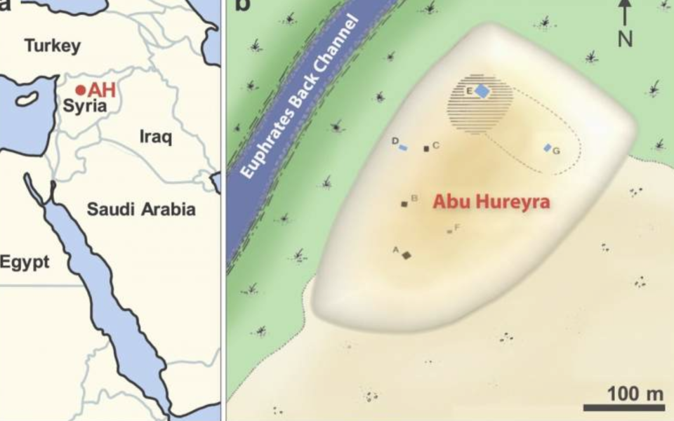 A map of Abu Hureyra (University of California) 