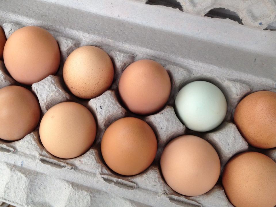 Eggs for sale at Asheville City Market